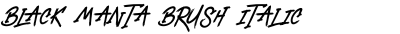 Black Manta Brush Italic